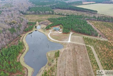 Timberland Property in Allendale County, South Carolina