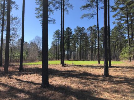 Farm and Ranch in Russell County, Alabama