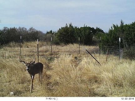 Undeveloped Land in Edwards County, Texas