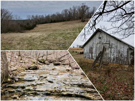 Timberland Property in Ozark County, Missouri