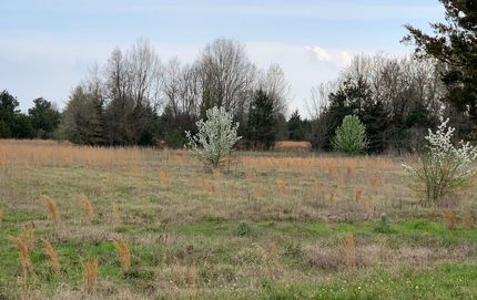 Land in Red River County, Texas