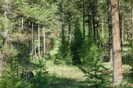 Recreational Property in Okanogan County, Washington