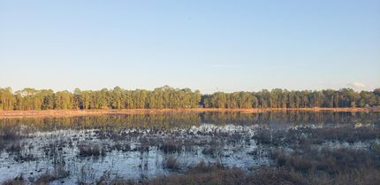 Waterfront Property in Marion County, Florida