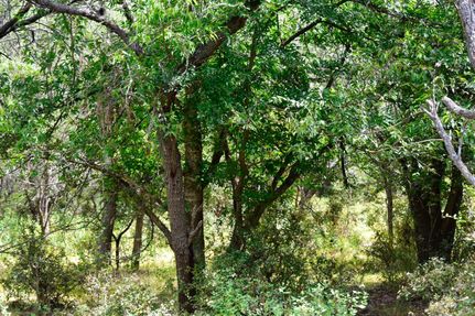 Recreational Property in Caldwell County, Texas