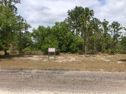 Undeveloped Land in Polk County, Florida