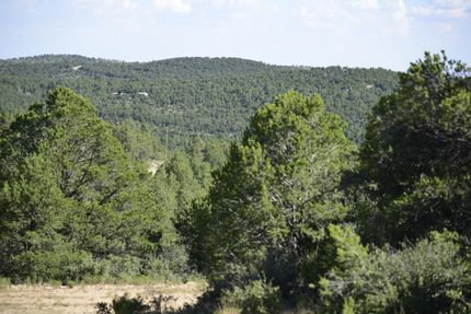 Farm and Ranch in Otero County, New Mexico