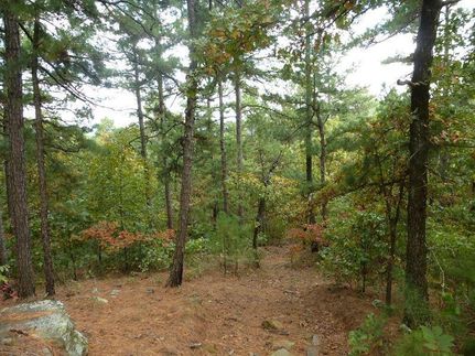 Recreational Property in Le Flore County, Oklahoma
