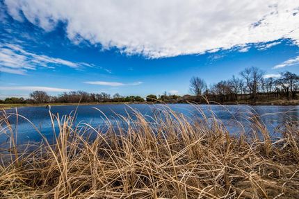 Undeveloped Land in Bosque County, Texas