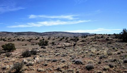 Farm and Ranch in Apache County, Arizona