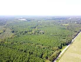 Farm and Ranch in Saint Francis County, Arkansas