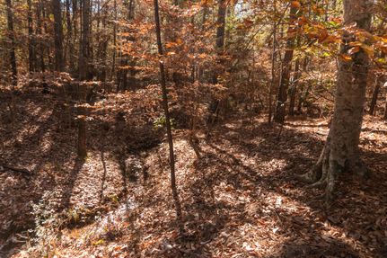 Land in Sabine County, Texas