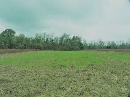 Land in Bamberg County, South Carolina