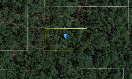 Farm and Ranch in Suwannee County, Florida