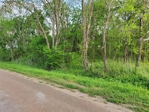 Farm and Ranch in Wharton County, Texas