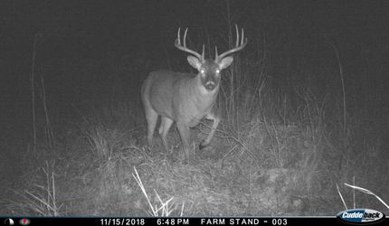 Waterfront Property in Adams County, Wisconsin