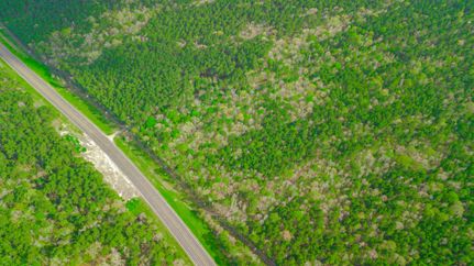Farm and Ranch in San Jacinto County, Texas