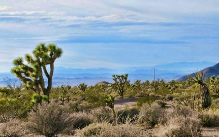 Undeveloped Land in Mohave County, Arizona