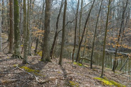 Land in Franklin County, Virginia