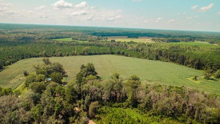 Farm and Ranch in Wayne County, Georgia