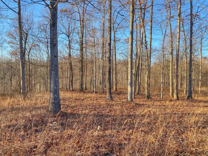 Undeveloped Land in Powell County, Kentucky