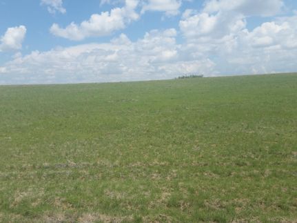 Farm and Ranch in Torrance County, New Mexico