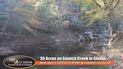 Recreational Property in Campbell County, Virginia