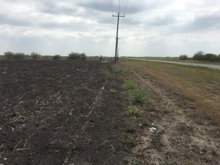 Farm and Ranch in Bee County, Texas