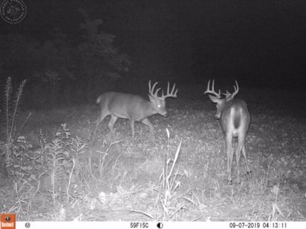 Recreational Property in Columbia County, Wisconsin