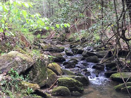 Waterfront Property in Wilkes County, North Carolina