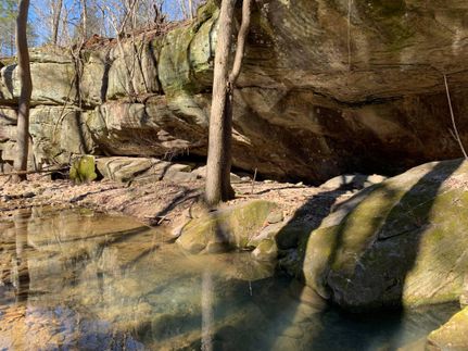 Undeveloped Land in Wright County, Missouri