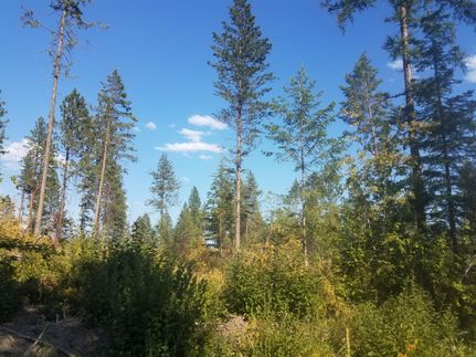 Hunting Property in Stevens County, Washington