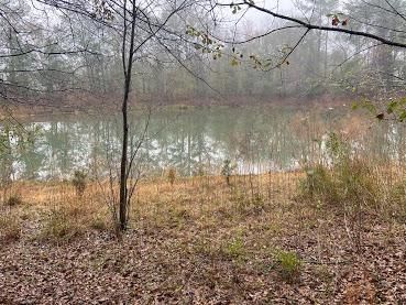 Land in Tift County, Georgia