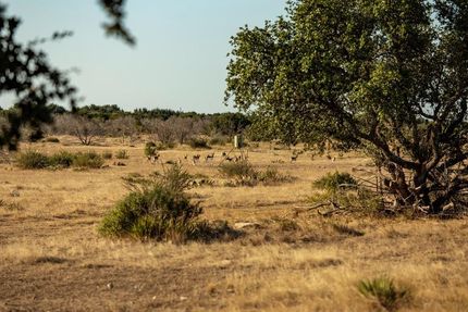 Undeveloped Land in Kimble County, Texas