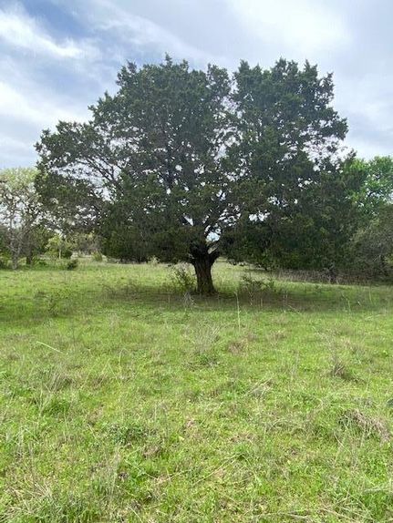 Timberland Property in Bandera County, Texas