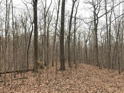 Hunting Property in Vinton County, Ohio