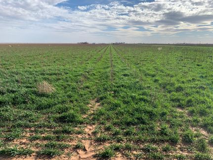 Farm and Ranch in Lubbock County, Texas