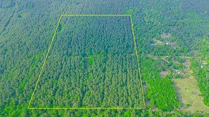 Land in San Jacinto County, Texas