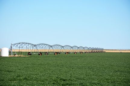 Farm and Ranch in Hartley County, Texas