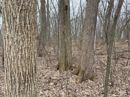 Homesite in Dane County, Wisconsin