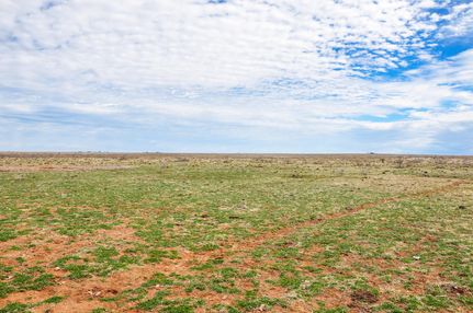 Farm and Ranch in Bailey County, Texas