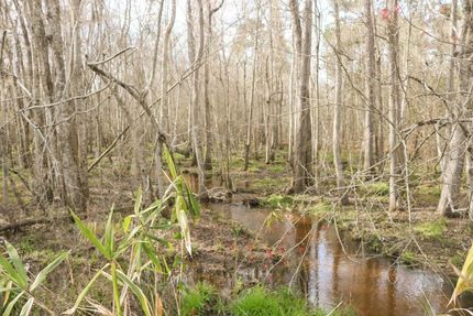Land in Calhoun County, South Carolina