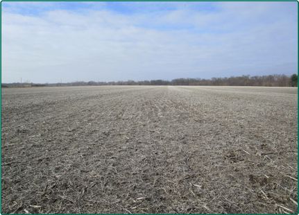 Farm and Ranch in Cedar County, Iowa