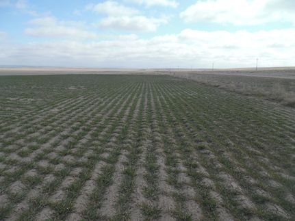 Farm and Ranch in Goshen County, Wyoming