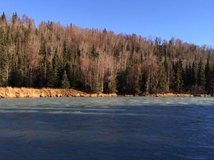 Undeveloped Land in Kenai Peninsula Borough, Alaska