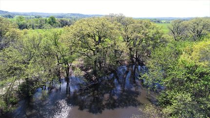 Timberland Property in Erath County, Texas