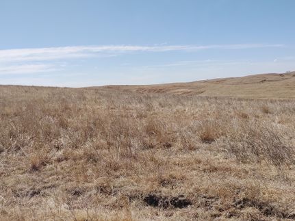 Land in Dawson County, Nebraska
