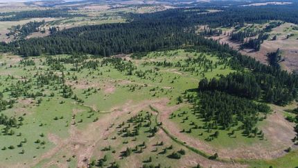 Undeveloped Land in Umatilla County, Oregon