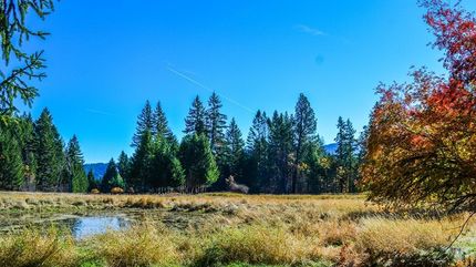 Farm and Ranch in Douglas County, Oregon