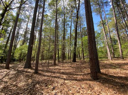 Recreational Property in Wood County, Texas
