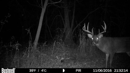 Recreational Property in Richland County, Wisconsin